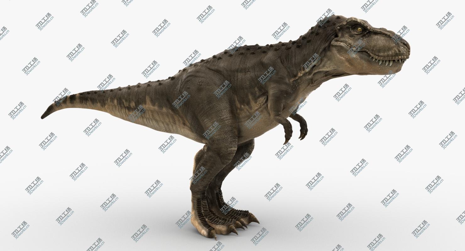images/goods_img/202104023/Tyrannosaurus Rex (2) (Rigged)/2.jpg